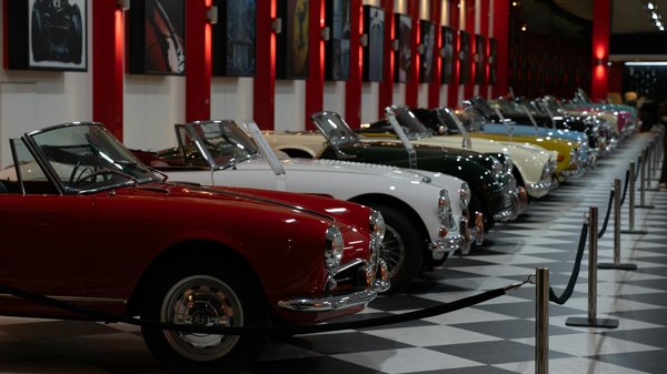 Poche de cérine pour Peugeot : tout savoir